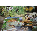 25 cartes philatéliques WWF