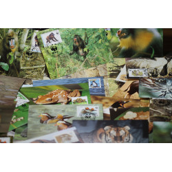 25 cartes philatéliques WWF