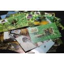 25 cartes philatéliques WWF