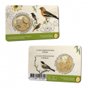 Belgique 2022 Coincard - 2.50 euros 100 ans de protection des oiseaux en Belgique 