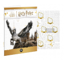 Monnaie de Paris 2022 - Album Collector pour 12 mini médailles Harry Potter
