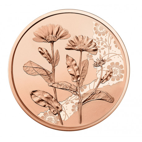 Autriche 2022 - 10 euros "Souci"