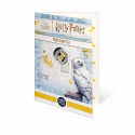 Monnaie de Paris 2022 - Harry Potter 10 euros en Argent colorisé – Maison Poufsouffle