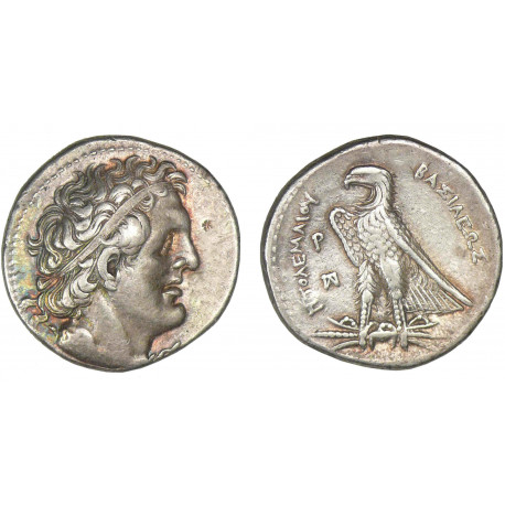 Egypte Argent - Ptolémée