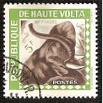 ELEPHANTS - 100 TIMBRES DIFFERENTS