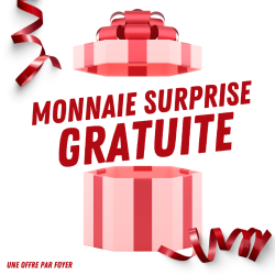 MONNAIE SYRPRISE