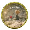 Petit Prince 2025- Collection complète Petit Prince 2025- Collection complète