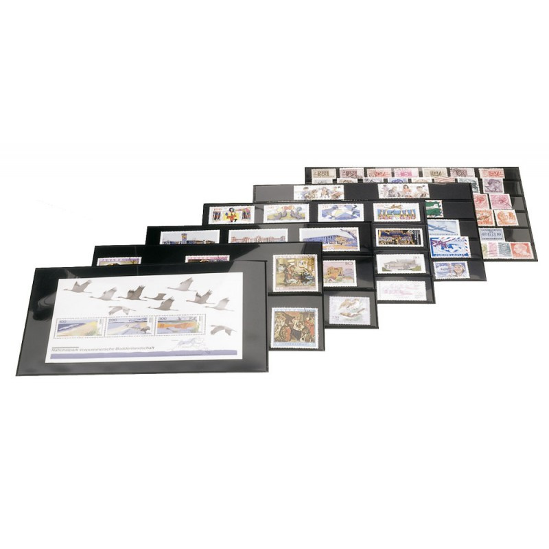Cartes de rangement en PVC à  6 bandes, 210 x 143 mm, paquet de 10