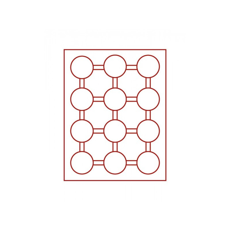 Box monnaies FUMÉ à  12 alvéoles ronds pour capsules Ø ext. 54 mm