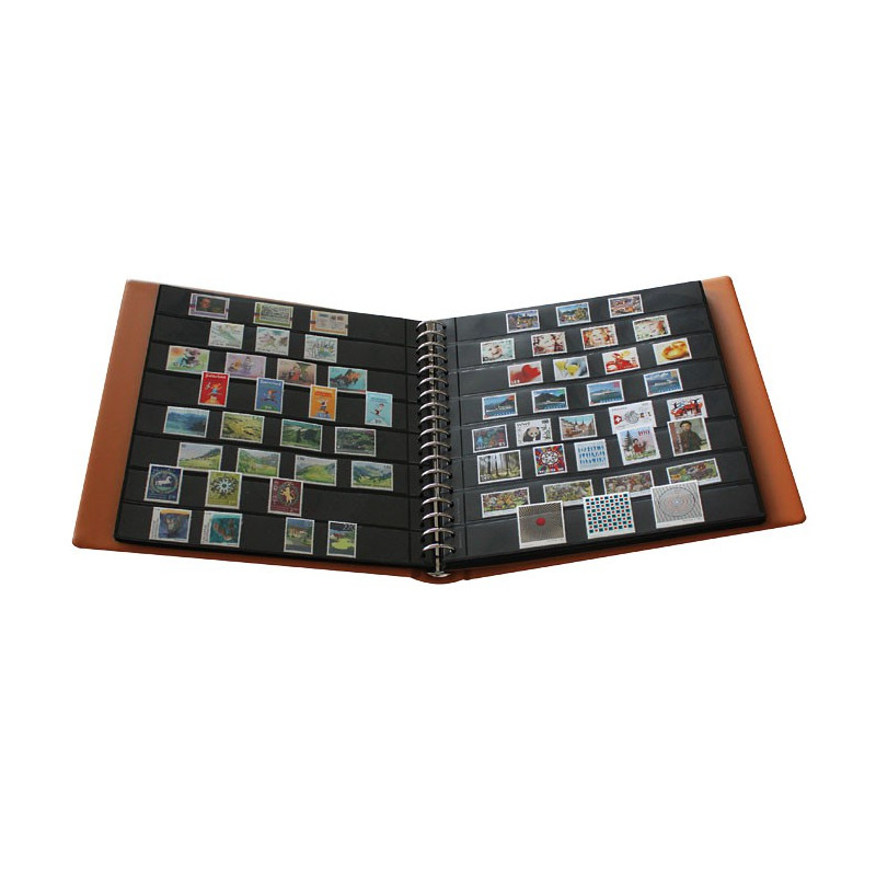 Reliure REGULAR, brun clair