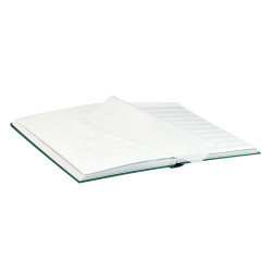 Classeur pour timbres STANDARD avec 32 pages blanches, 230 x 305 x 25 mm, vert