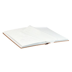 Classeur pour timbres STANDARD avec 32 pages blanches, 230 x 305 x 25 mm, brun clair
