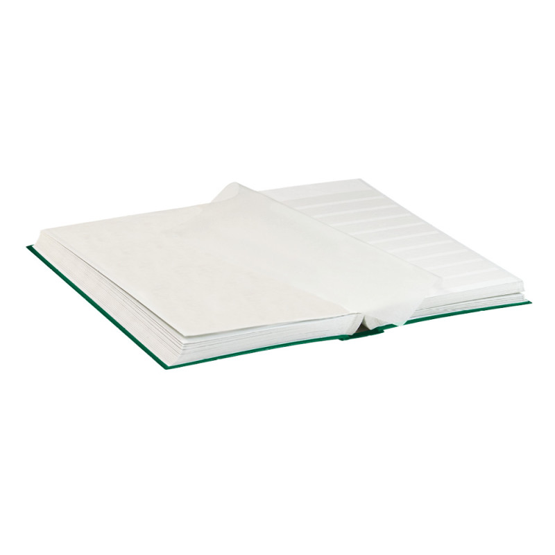 Classeur STANDARD pour timbres avec 64 pages blanches, 230 x 305 x 47 mm, vert