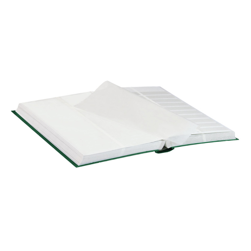 Classeur STANDARD pour timbres avec 64 pages blanches, bandes à  séparation médiane, 230 x 305 x 47 mm, vert