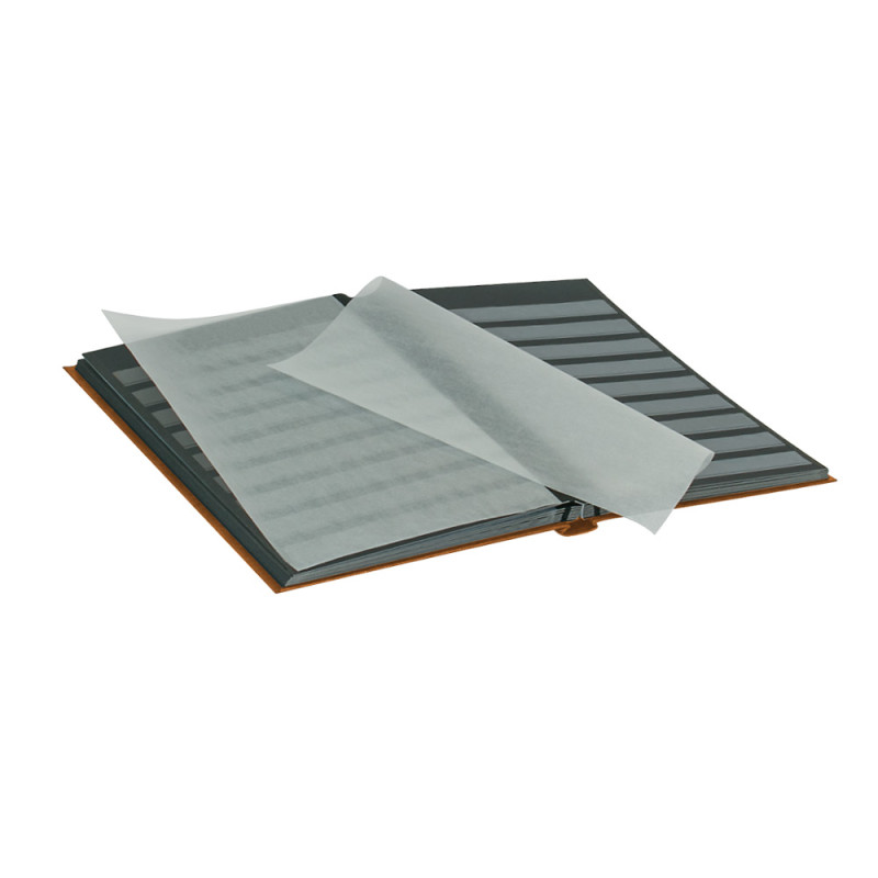 Classeur STANDARD pour timbres avec 32 pages noires, 230 x 305 x 25 mm, brun clair