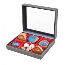 Coffret de collection NERA VARIUS PLUS avec plateau rouge vif à  2 compartiments flexibles, avec fenàªtre