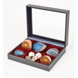 Coffret de collection NERA VARIUS PLUS avec plateau rouge foncé à  2 compartiments flexibles, avec fenàªtre
