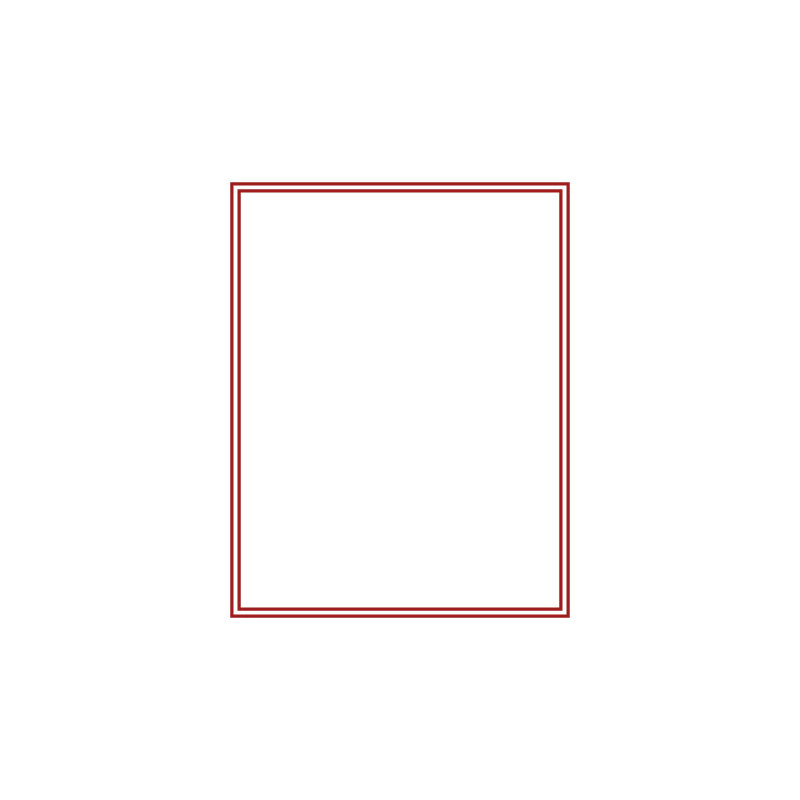 Plateau en velours rouge clair, sans compartiments, 285 x 225 40 mm