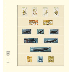 Feuilles neutres-T à  6 poches: 36 mm - paquet de 10