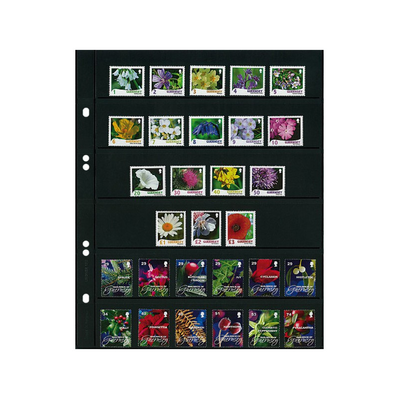 Feuilles Multi collect à  6 bandes (36 mm) par page, noires - paquet de 10