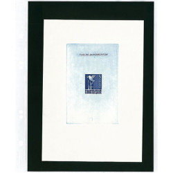 Feuilles Multi collect à  1 poche (185 x 250 mm), transparentes avec feuillets de séparation en plastique noir  - paquet de 1