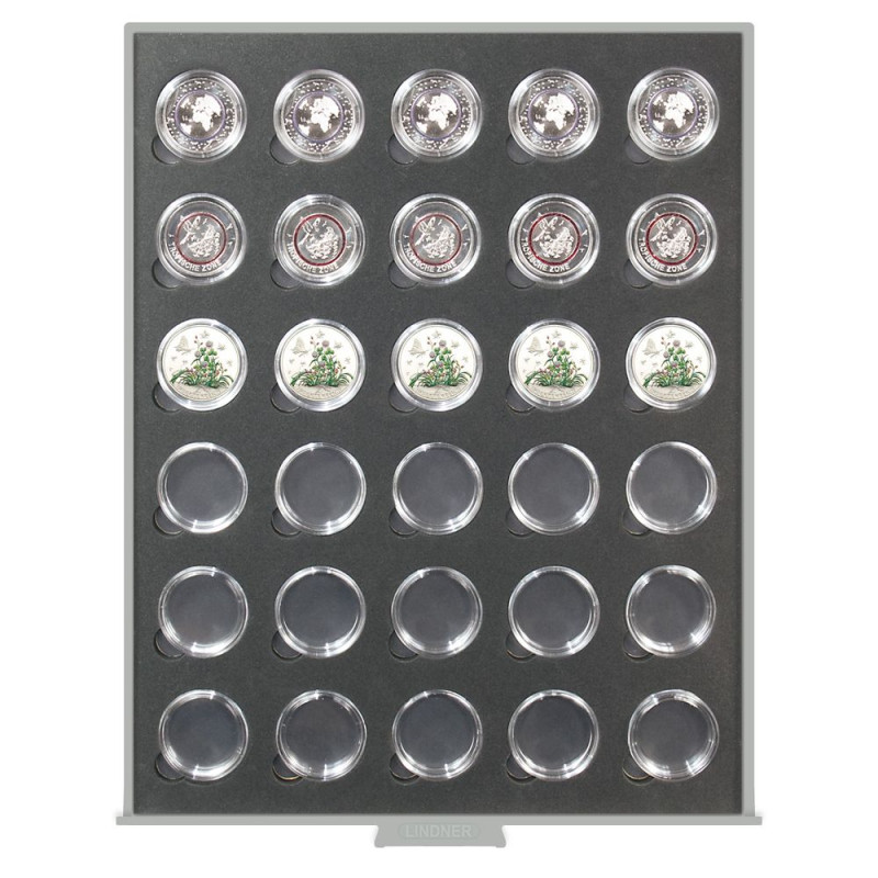 Box monnaies STANDARD VELOURS BLACK pour 30 monnaies de collection 5 Euro Allemagne - livré avec capsules