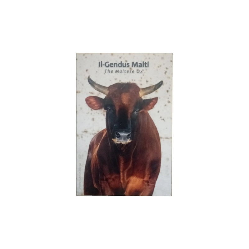 Malte 2025 - 2 euro commémorative  BU –  Bœuf maltais