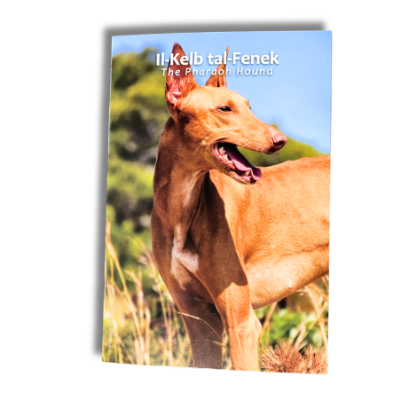 Malte 2026 - 2 euro commémorative  BU -  Le Lévrier pharaon