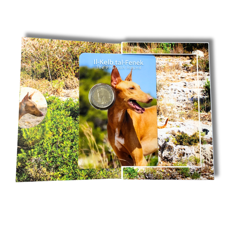 Malte 2026 - 2 euro commémorative  BU -  Le Lévrier pharaon