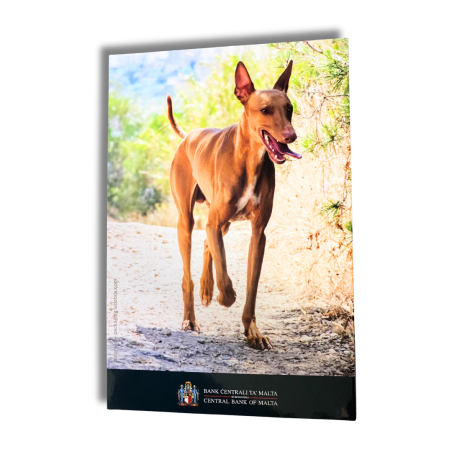 Malte 2026 - 2 euro commémorative  BU -  Le Lévrier pharaon