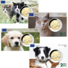 Europa 2025 - La collection des Animaux Chiens et Chats- carte commémorative  EuroSymbols Institute