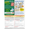 FLYER sur nos offres abonnements du moment_version pdf