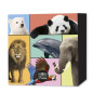 Monnaie de Paris 2026-Collection complète « Les Animaux du monde » – 6 monnaies de 5€ + boîte de rangement – Millésime 2026